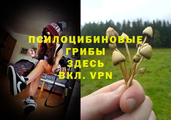 дмт Верея