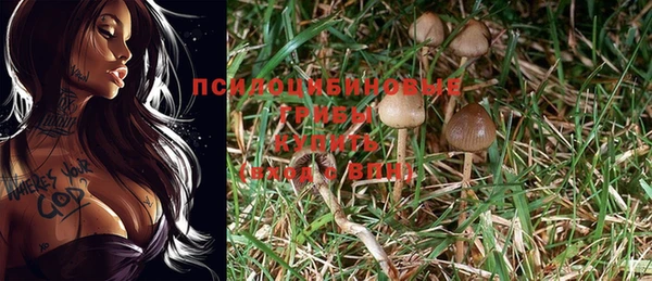 ГАЛЛЮЦИНОГЕННЫЕ ГРИБЫ Верхнеуральск